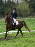 24_02569 24_02569