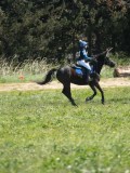 24_06058 24_06058