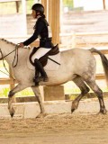 DSC07919 DSC07919