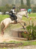 DSC05958 DSC05958