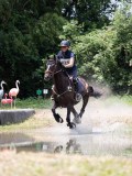 IMG_6606
