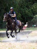 IMG_6610