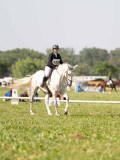 DSC08656