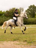 DSC08624 DSC08624