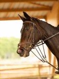 DSC08120