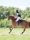 DSC08339 DSC08339