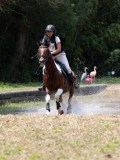 IMG_6621