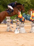 DSC00650 DSC00650