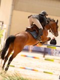 DSC02744 DSC02744