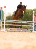 DSC02246 DSC02246