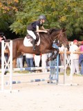 DSC09500 DSC09500