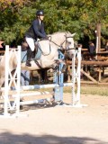 DSC08249 DSC08249