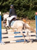 DSC08254 DSC08254