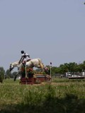 IMG_6517