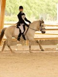 DSC08154 DSC08154