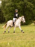 DSC08773 DSC08773
