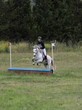 IMG_3617 IMG_3617