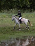 IMG_3619 IMG_3619