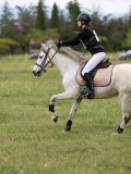 IMG_3620 IMG_3620