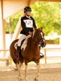 DSC08184 DSC08184