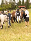DSC08786 DSC08786