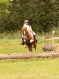 DSC08803 DSC08803