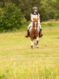 DSC08805 DSC08805