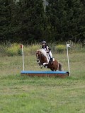 IMG_3632 IMG_3632