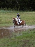 IMG_3634 IMG_3634