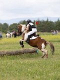 IMG_3637 IMG_3637