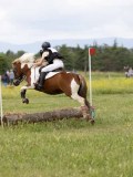 IMG_3638 IMG_3638