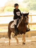 DSC08246 DSC08246