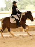 DSC08257 DSC08257