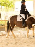 DSC08274 DSC08274