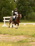 DSC08495 DSC08495