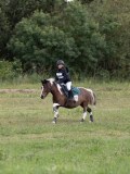 IMG_3469 IMG_3469