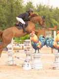 DSC02949 DSC02949