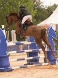 DSC02954 DSC02954