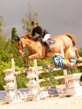 DSC02750 DSC02750