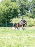DSC07698 DSC07698