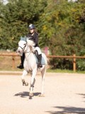 DSC08259 DSC08259