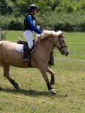 IMG_3870 IMG_3870