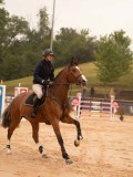 DSC01843 DSC01843