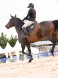 DSC07075