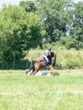 DSC07723 DSC07723