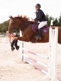 DSC09529 DSC09529