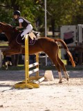 DSC08278 DSC08278