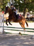DSC08279 DSC08279