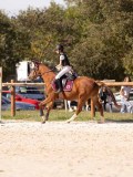 DSC08288 DSC08288