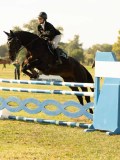 DSC05207